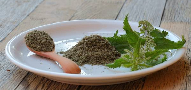 Kostenloses Proteinpulver aus Brennnesselsamen