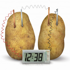 4M-Experimentierset: Mit 2 Kartoffeln kann man eine Digitaluhr betreiben © HCM Kinzel GmbH