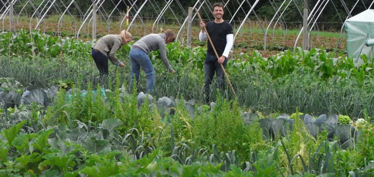 gemeinschaftlich gärtnern bei meine ernte in dortmund foto: isabelle reiff