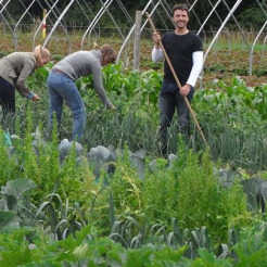 gemeinschaftlich gärtnern bei meine ernte in dortmund foto: isabelle reiff