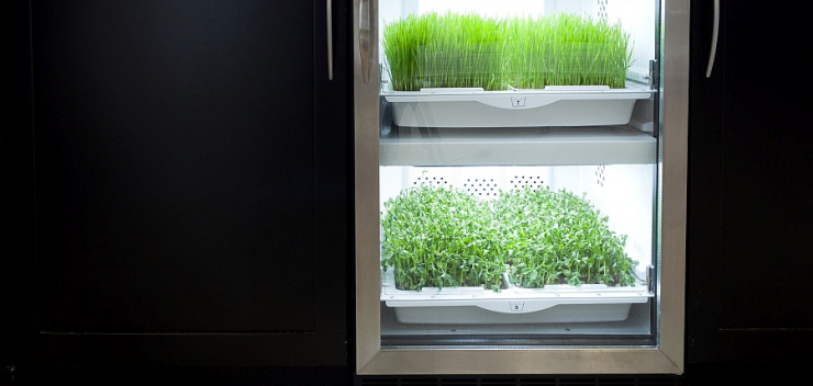 Urban Cultivator Residential Version Mini-Gewächshaus für Küchenkräuter