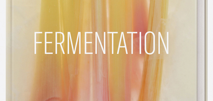 Cover Kochbuch Fermentation von Heiko Antoniewicz erschienen bei Matthaes