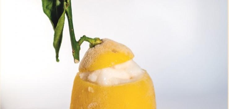 Rezeptbild Zitronensorbet im Buch La Vita e dolce von Letitia Clark