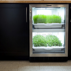 Urban Cultivator Residential Version Mini-Gewächshaus für Küchenkräuter