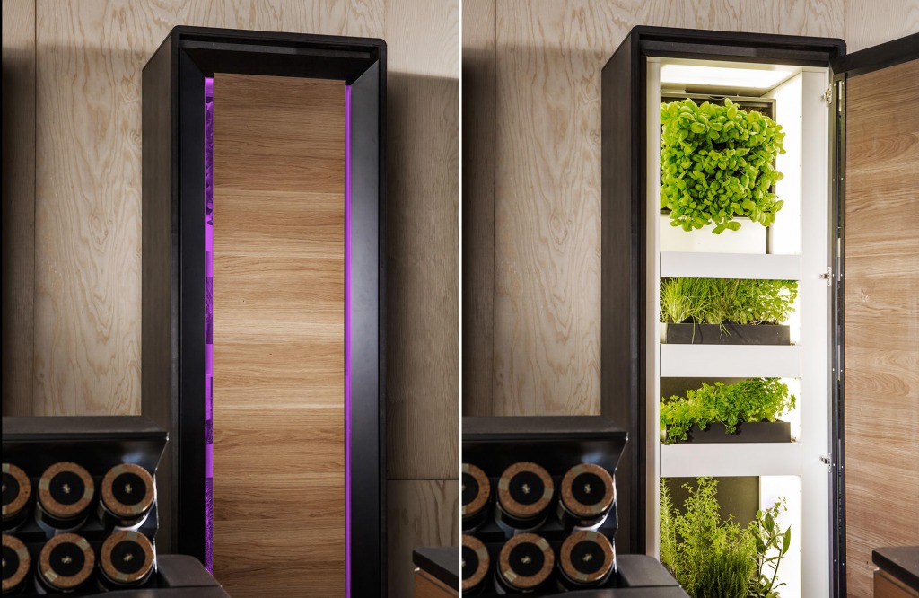 Indoor Farming Schrank