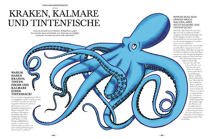 Doppelseite zum Thema Meeresfrüchte im Buch Küchenwissen von Arthur Le Caisne, illustriert von Yannis Varoutsikos, erschienen im Dorling Kindersley Verlag GmbH